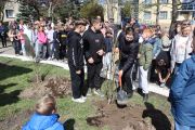 Dęby Pamięci, foto nr 23, Weronika Ziółkowska